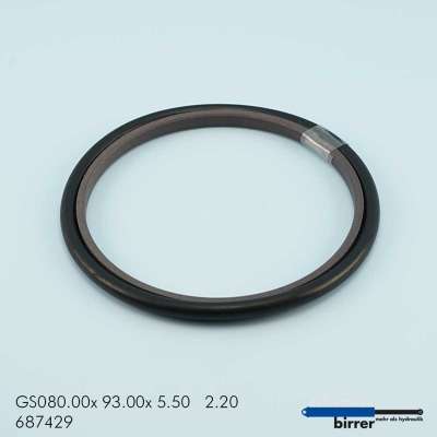 Gleitring GS -1  671149