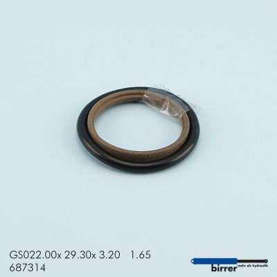 Gleitring GSS-2  670459