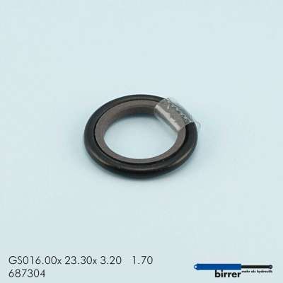 Gleitring GS -2  670452