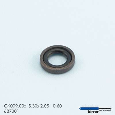 Gleitring GK -1  670107