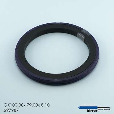 Gleitring GKW-9  671481