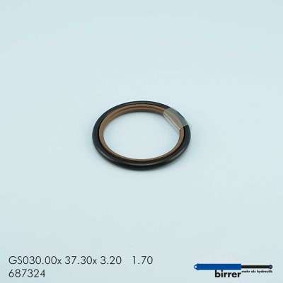 Gleitring GSS-2  670464