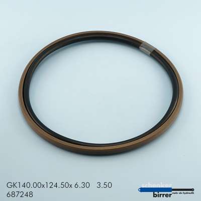 Gleitring GK -1  671267