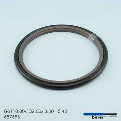 Gleitring GSS-2  671496