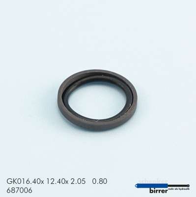 Gleitring GK -1  670057