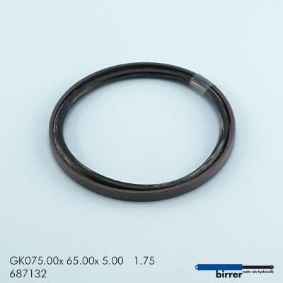 Gleitring GK -1  670928