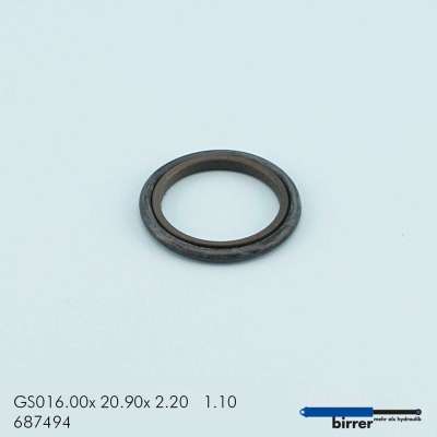 Gleitring GS -1  670147