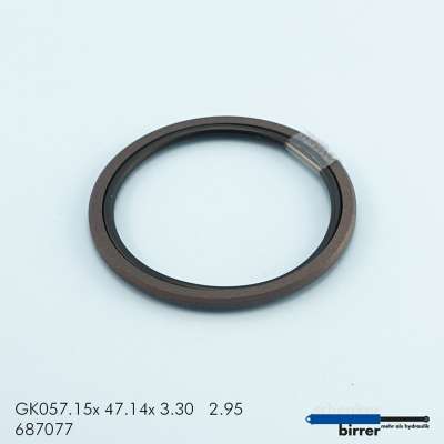 Gleitring GK -1  670393