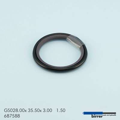 Gleitring GS -1  670462