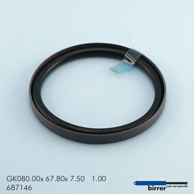 Gleitring GK -1  671322