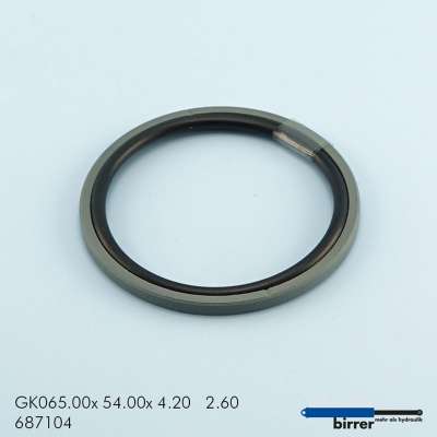 Gleitring GK -1  670779