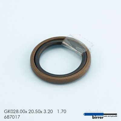 Gleitring GK -1  670453