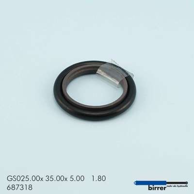 Gleitring GSS-1  670895