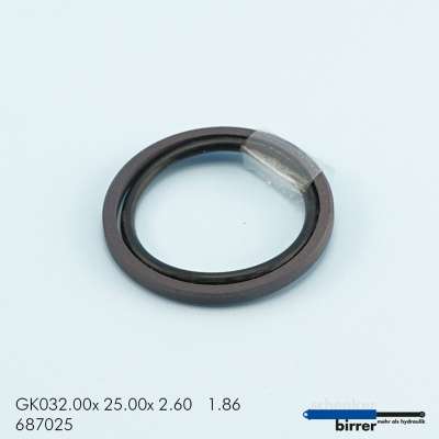 Gleitring GK -1  670220