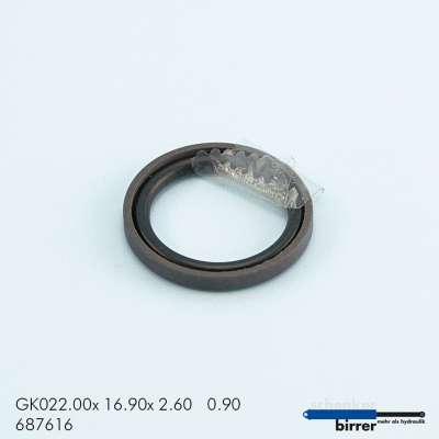 Gleitring GK -2  670211