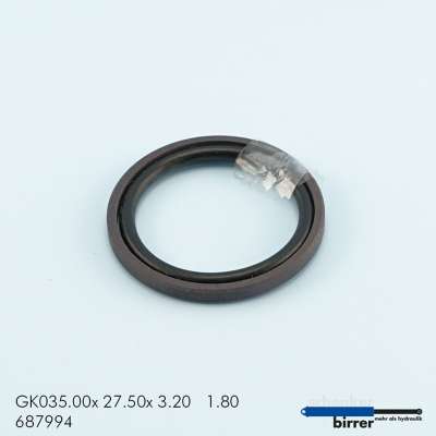 Gleitring GK -2  670460