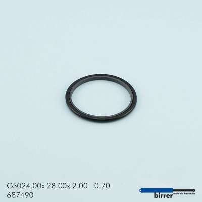 Gleitring GS -1  670152