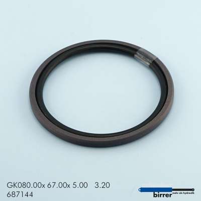 Gleitring GK -1  670929