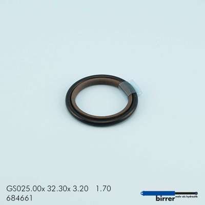 Gleitring GS -1  670376