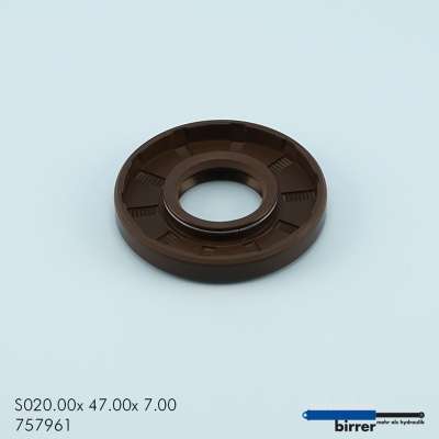 Simmerring BASL Viton