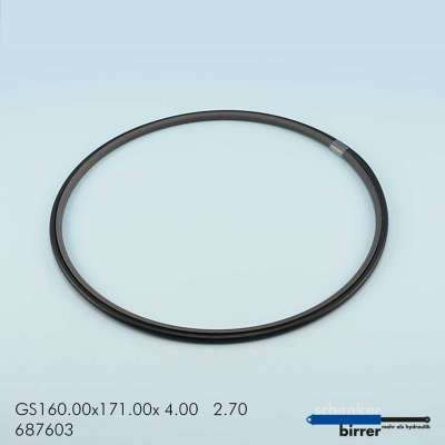 Gleitring GS -1  670837