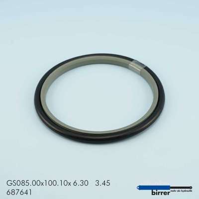 Gleitring GS -2  671254