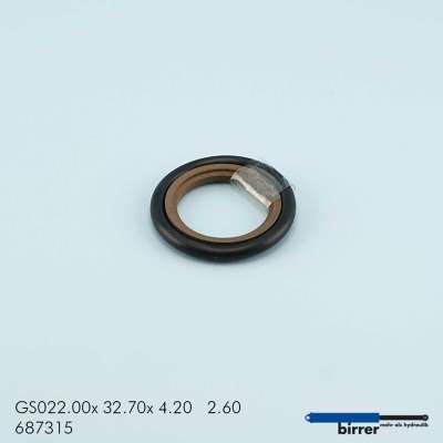 Gleitring GSS-1  670742