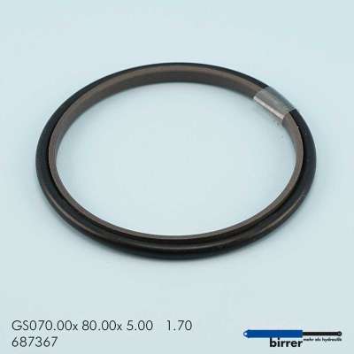 Gleitring GS -1  670934