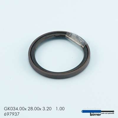 Gleitring GK -1  670375