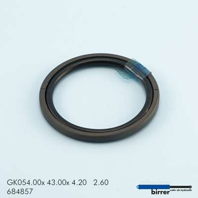 Gleitring GK -2  670765