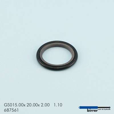 Gleitring GS -1  670146