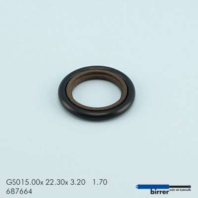 Gleitring GSS-2  670451