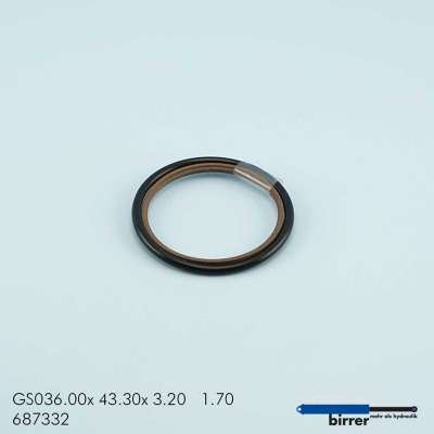 Gleitring GSS-2  670386