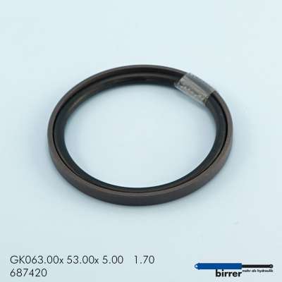 Gleitring GK -1  670916