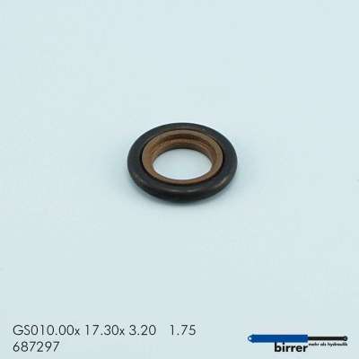 Gleitring GSS-1  670443