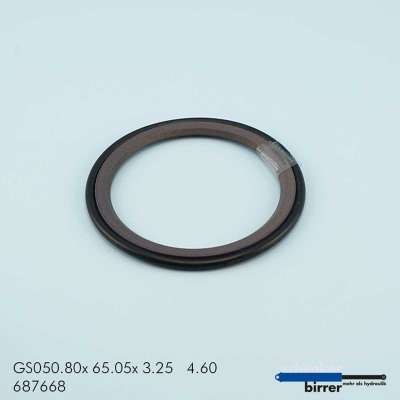 Gleitring GS -2  670609