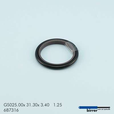 Gleitring GS -1  670375