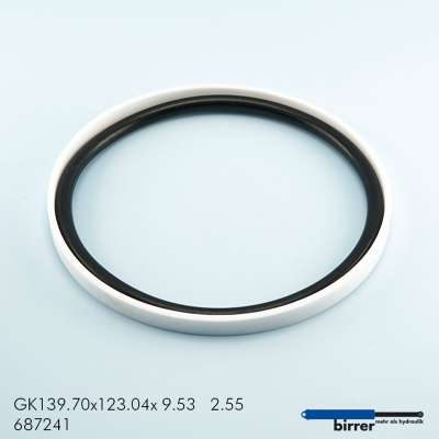 Gleitring GK -1  671496