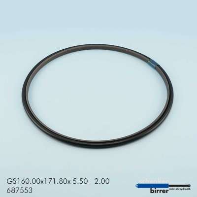 Gleitring GS -1  671181