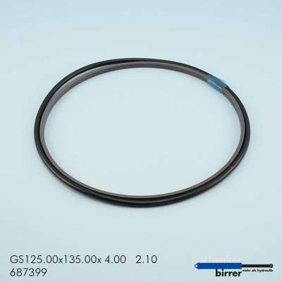 Gleitring GS -1  670828