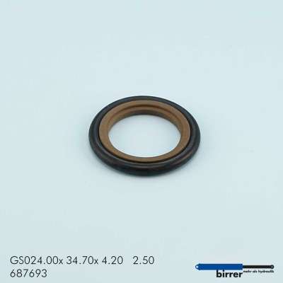 Gleitring GSS-2  671641