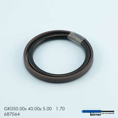 Gleitring GK -1  670906