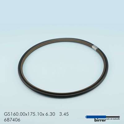 Gleitring GSS-2  672063