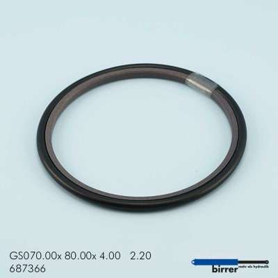 Gleitring GS -1  670798