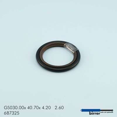 Gleitring GSS-2  670753