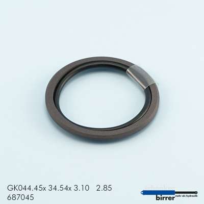 Gleitring GK -1  670382