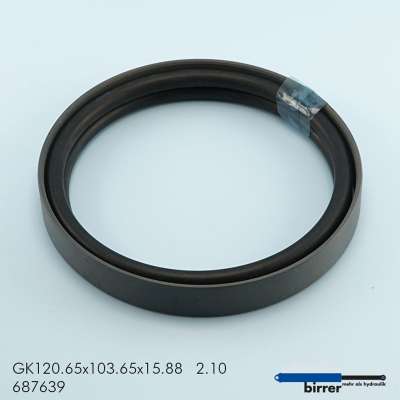 Gleitring GK -1  2x671489