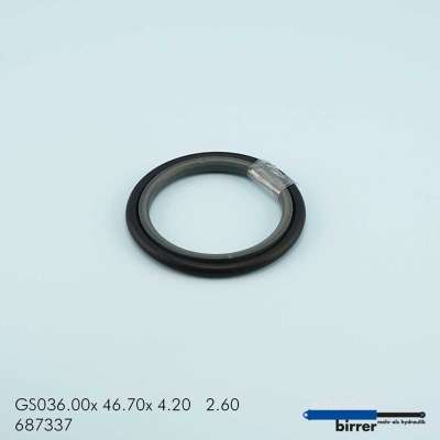 Gleitring GS -1  670762