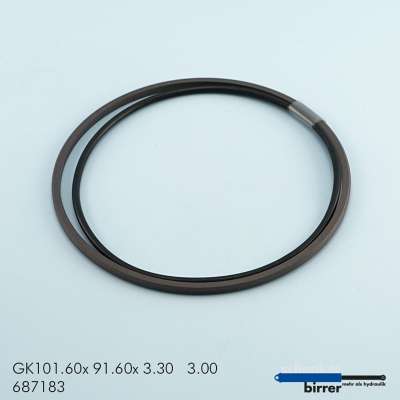 Gleitring GK -1  670493