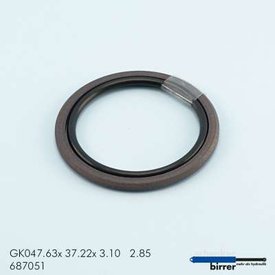 Gleitring GK -1  670466